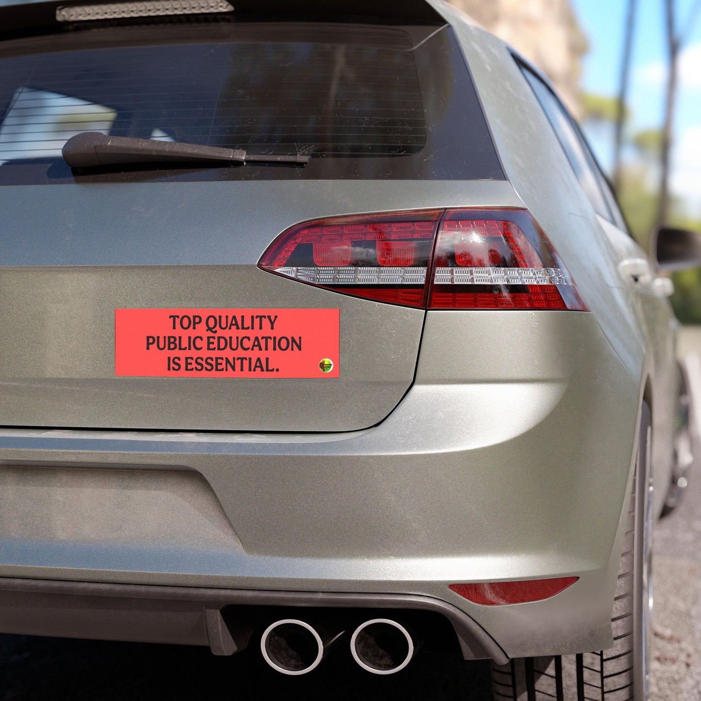 Public Education Car Magnets