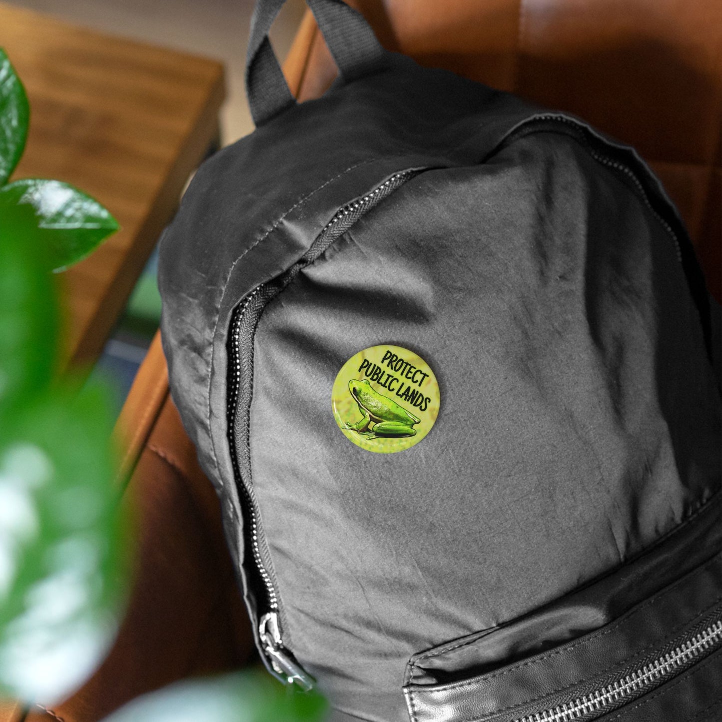 Protect Public Lands Buttons