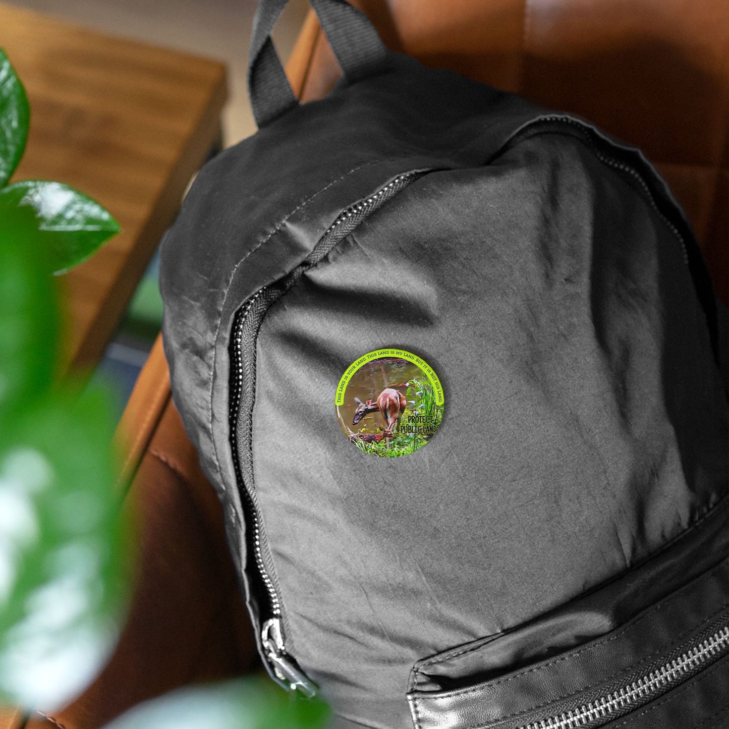 Protect Public Lands Buttons