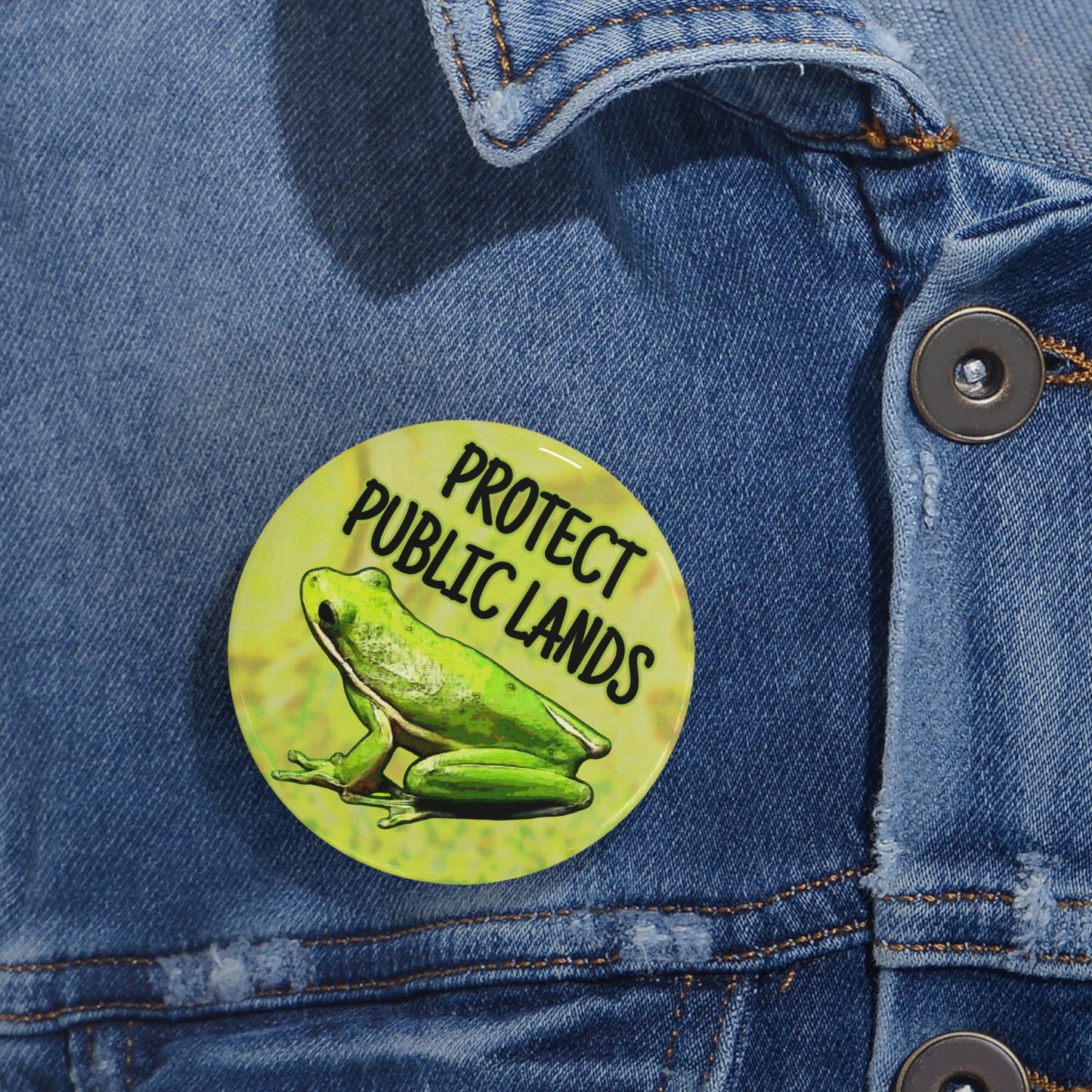 Protect Public Lands Buttons