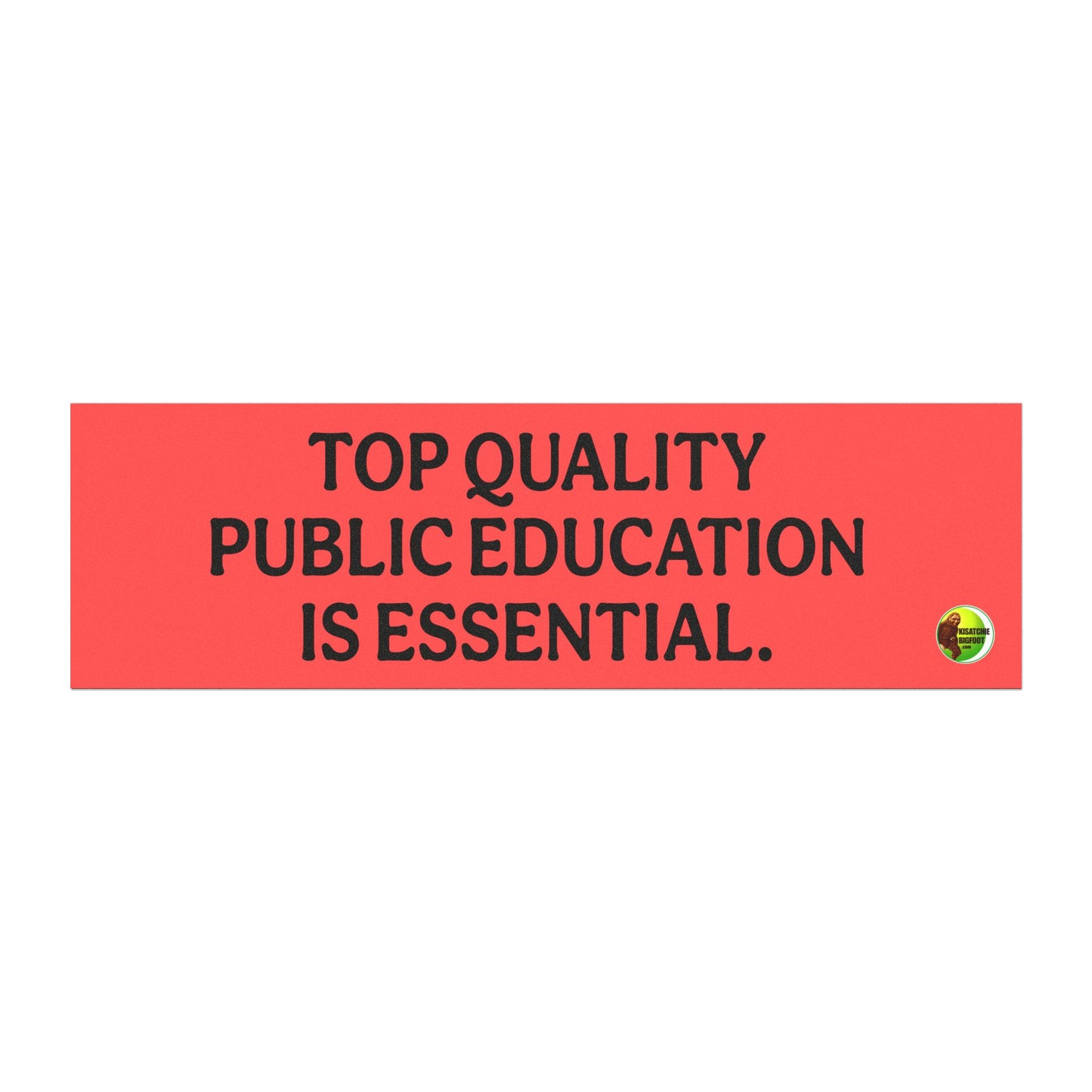 Public Education Car Magnets