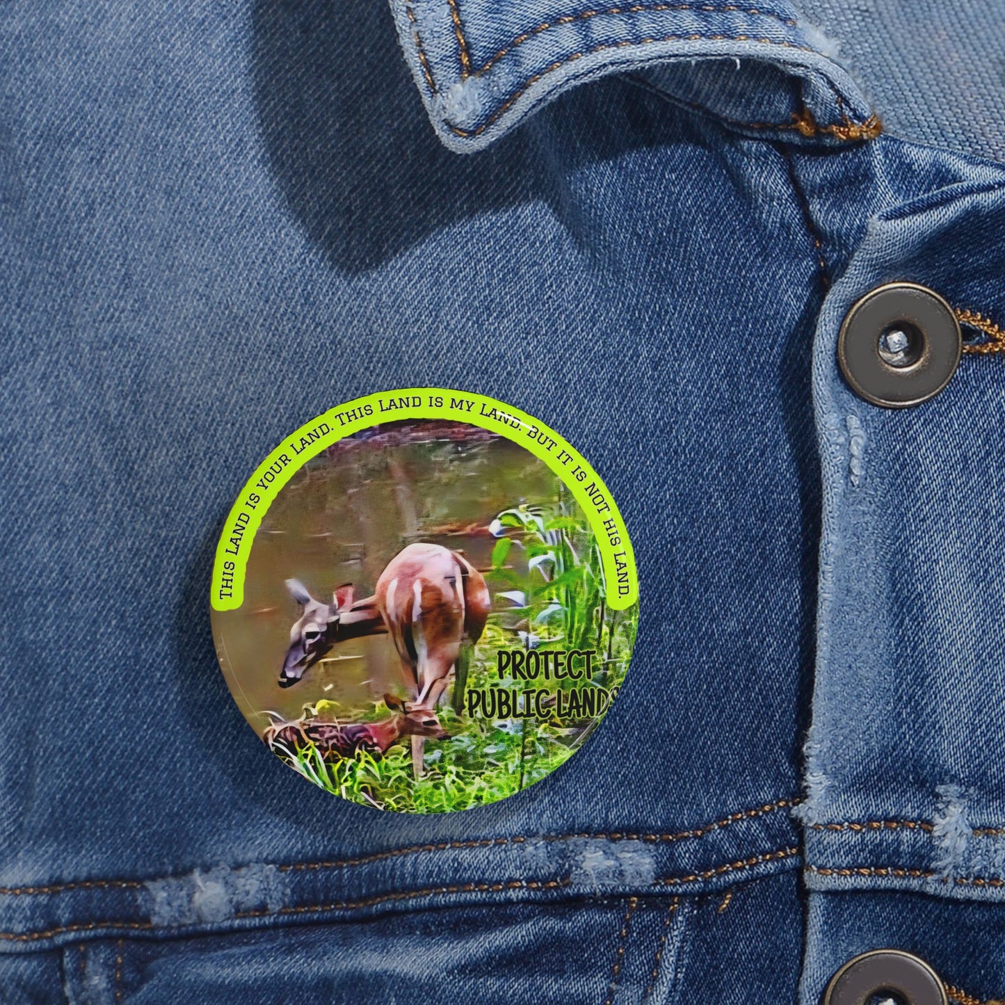 Protect Public Lands Buttons