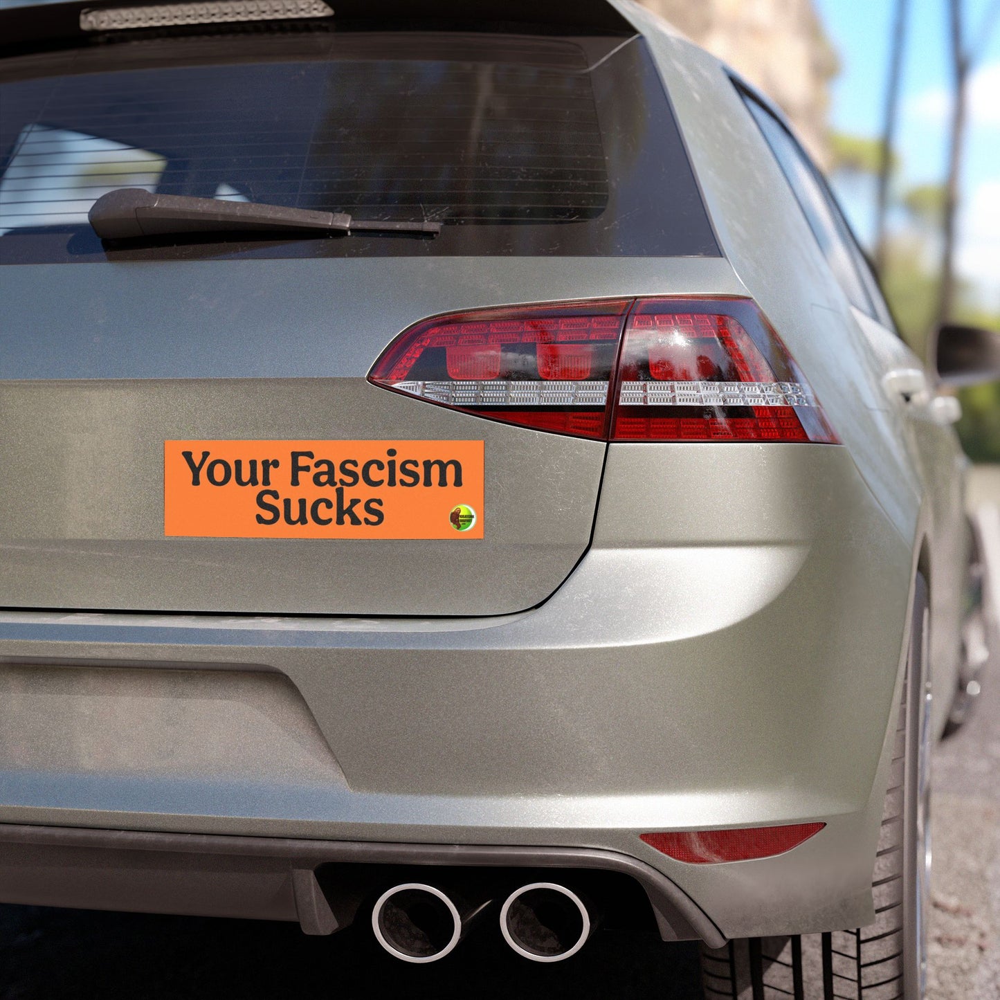 Fascism Sucks Car Magnets