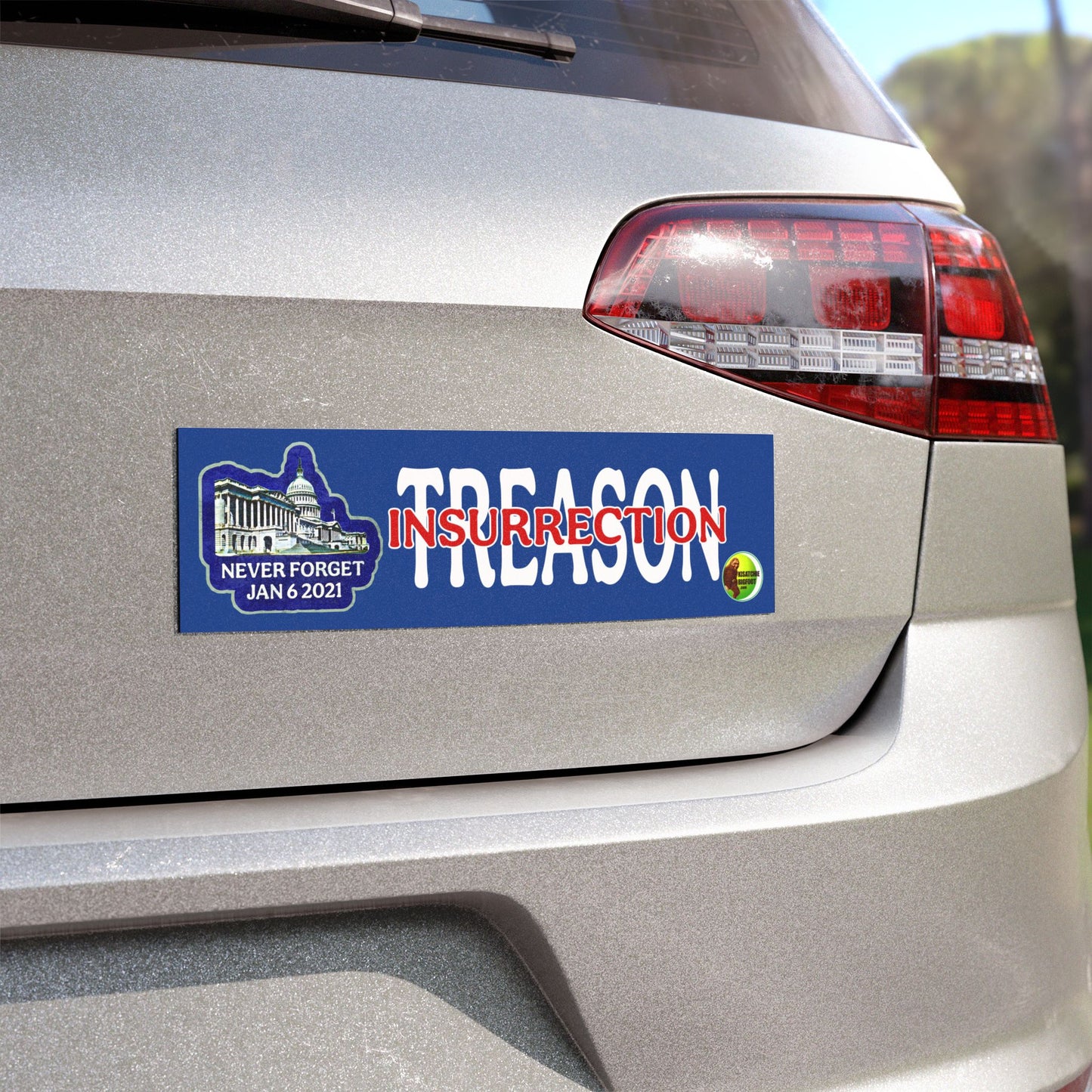 Jan 6 Car Magnets