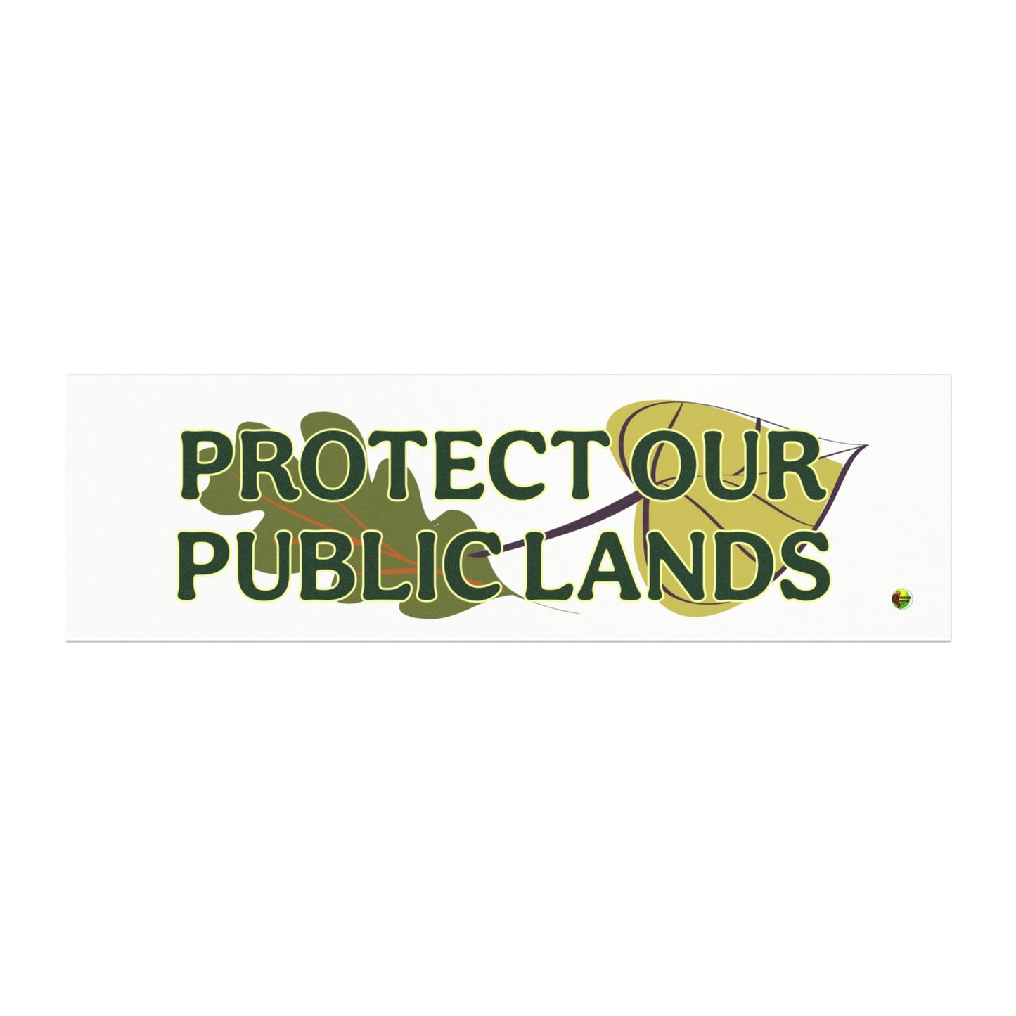 PROTECT PUBLIC LANDS Car Magnets