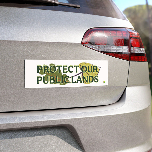 PROTECT PUBLIC LANDS Car Magnets