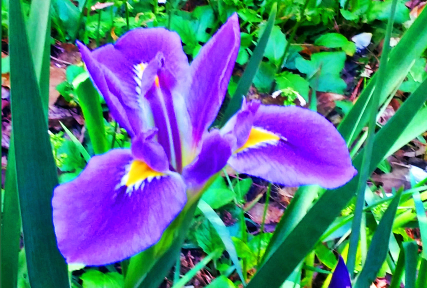 THE BOOK: Always Be Brave