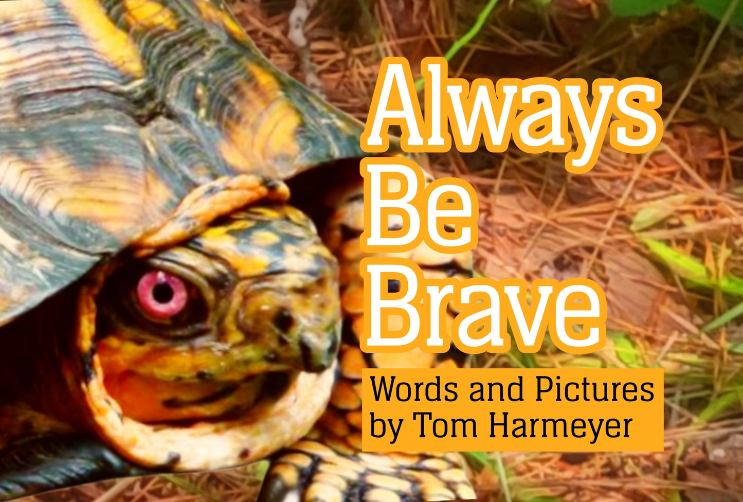 THE BOOK: Always Be Brave