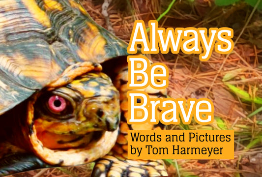 THE BOOK: Always Be Brave