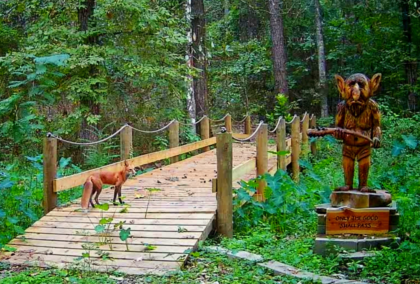 THE BOOK: Always Be Brave