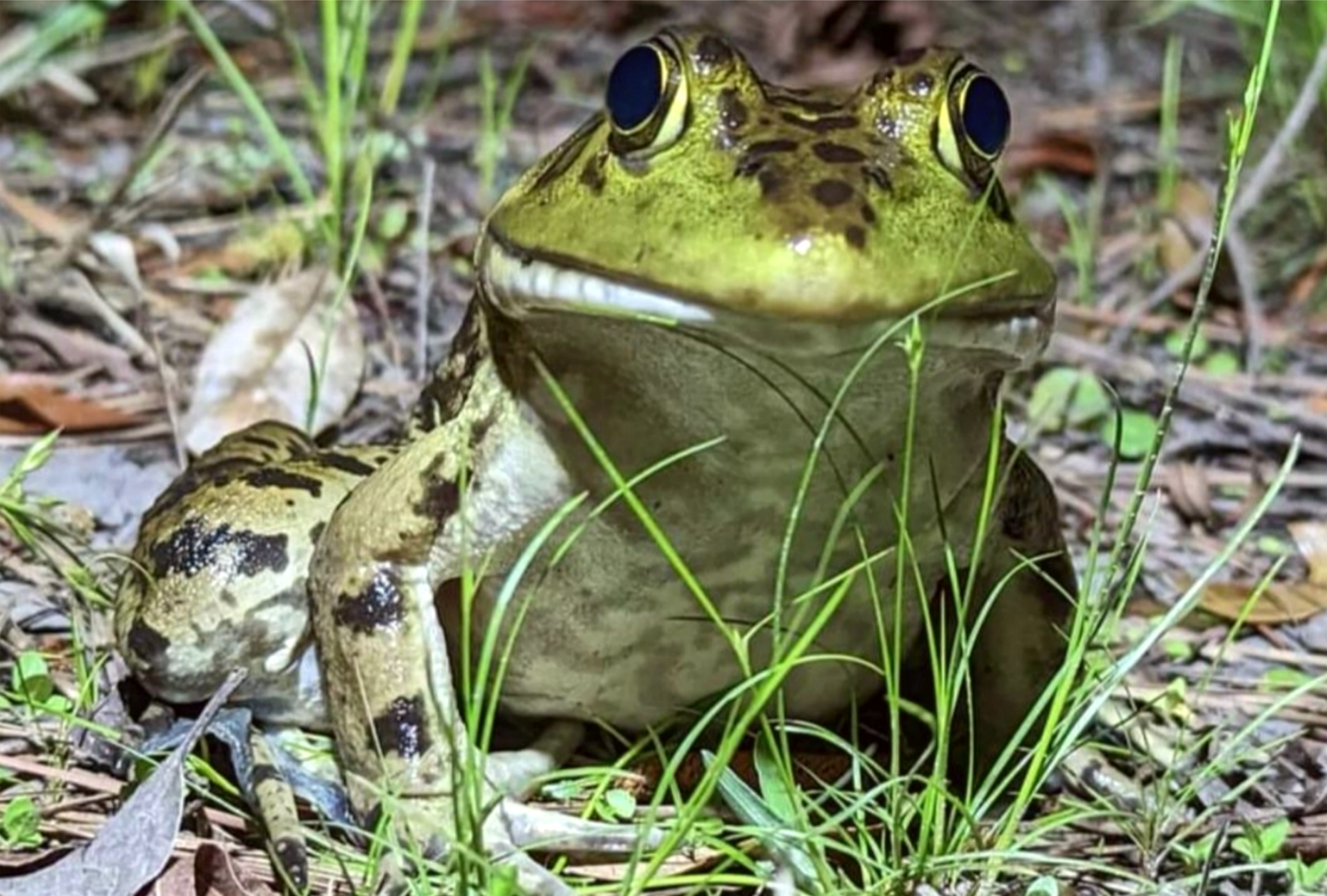 THE BOOK: Always Be Brave