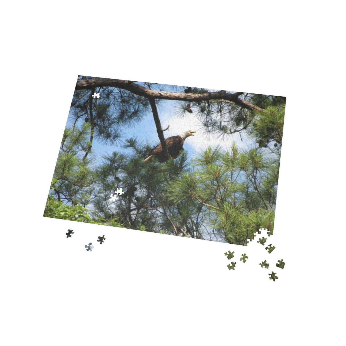 Kincaid Lake Eagle Puzzle (4 Sizes)