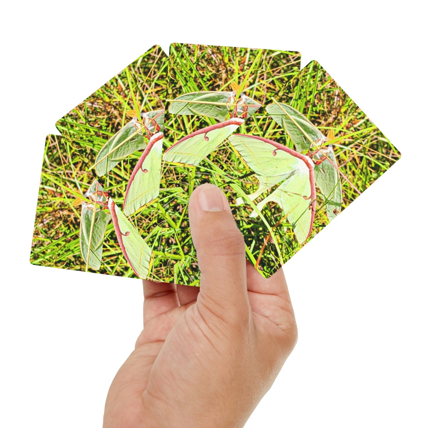 Luna Moths Playing Cards