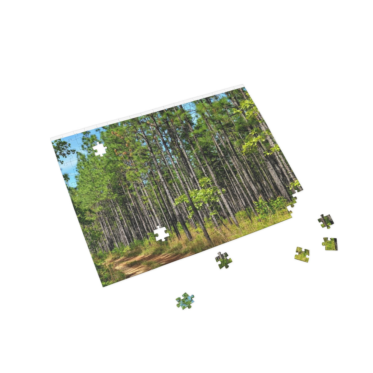 Kisatchie Pines Puzzle (4 Sizes)