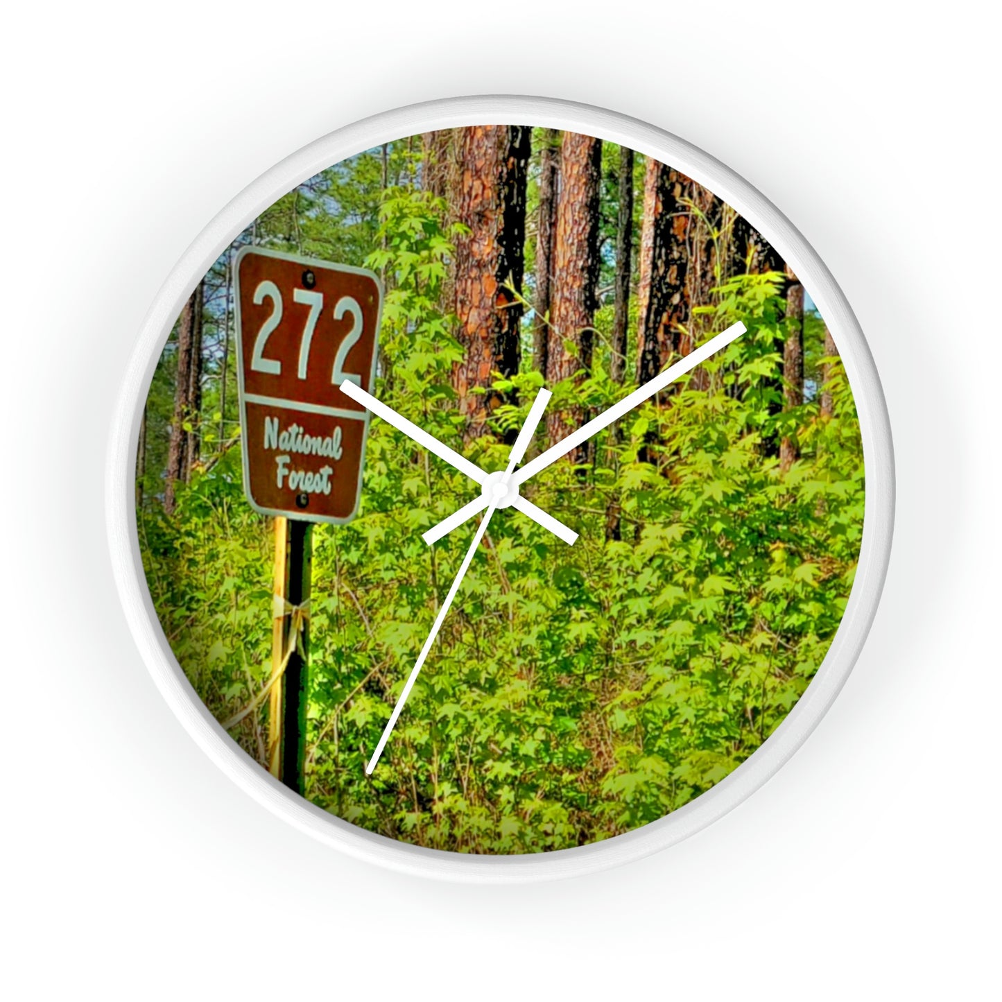 Kisatchie National Forest Wall Clocks