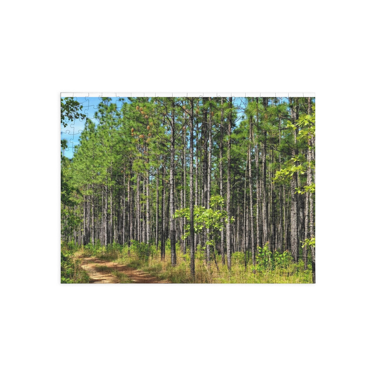 Kisatchie Pines Puzzle (4 Sizes)