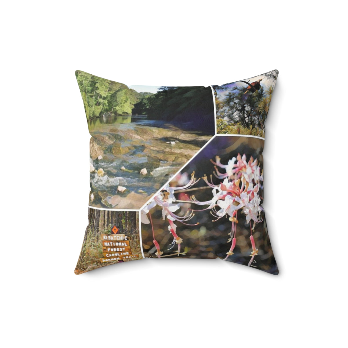 Kisatchie National Forest Square Pillow