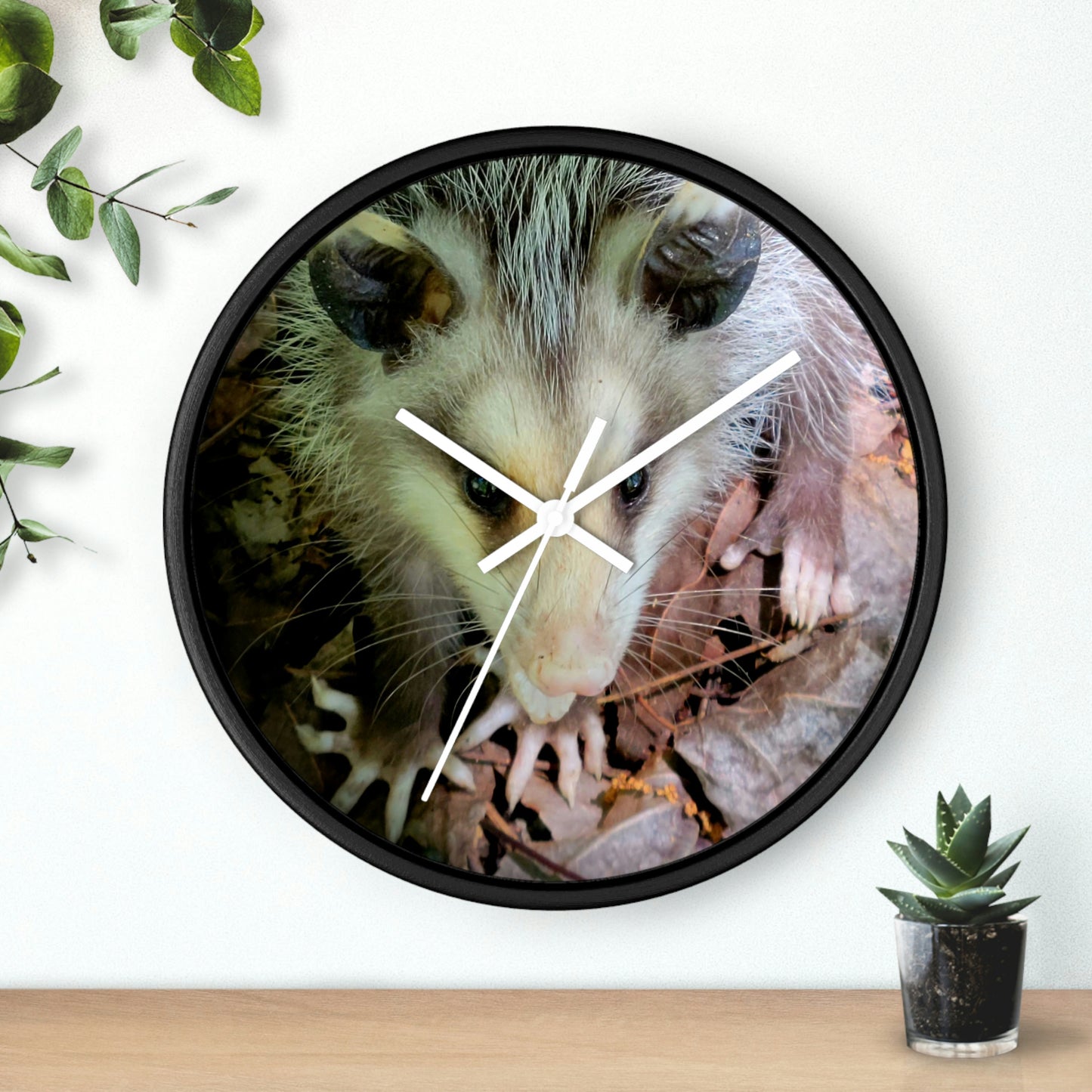 Kisatchie Opossum Wall Clocks