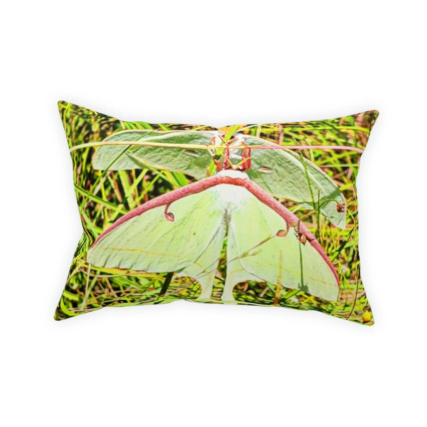 Luna Moths Broadcloth Pillow