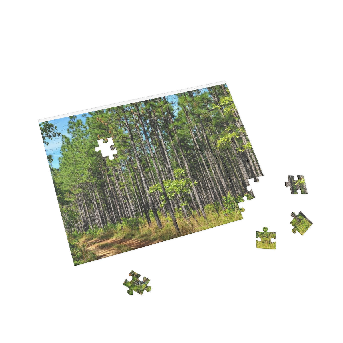 Kisatchie Pines Puzzle (4 Sizes)