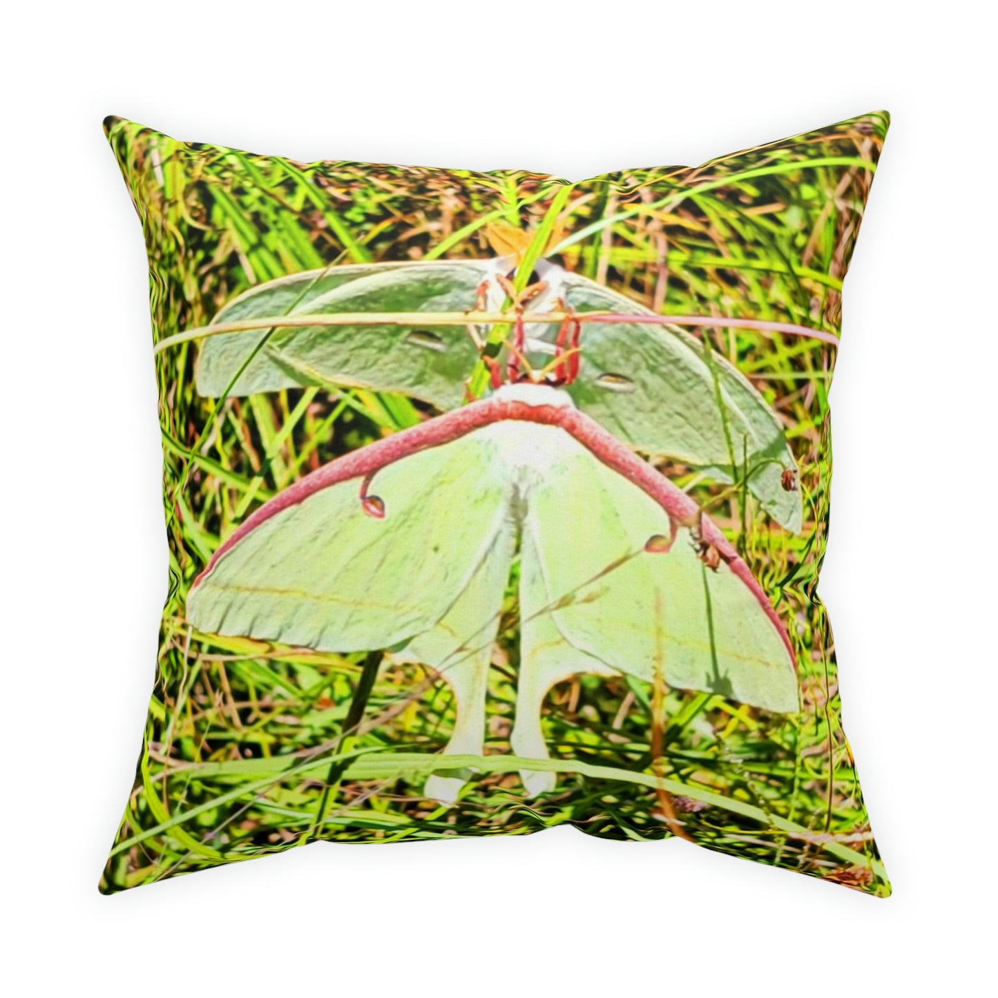 Luna Moths Broadcloth Pillow