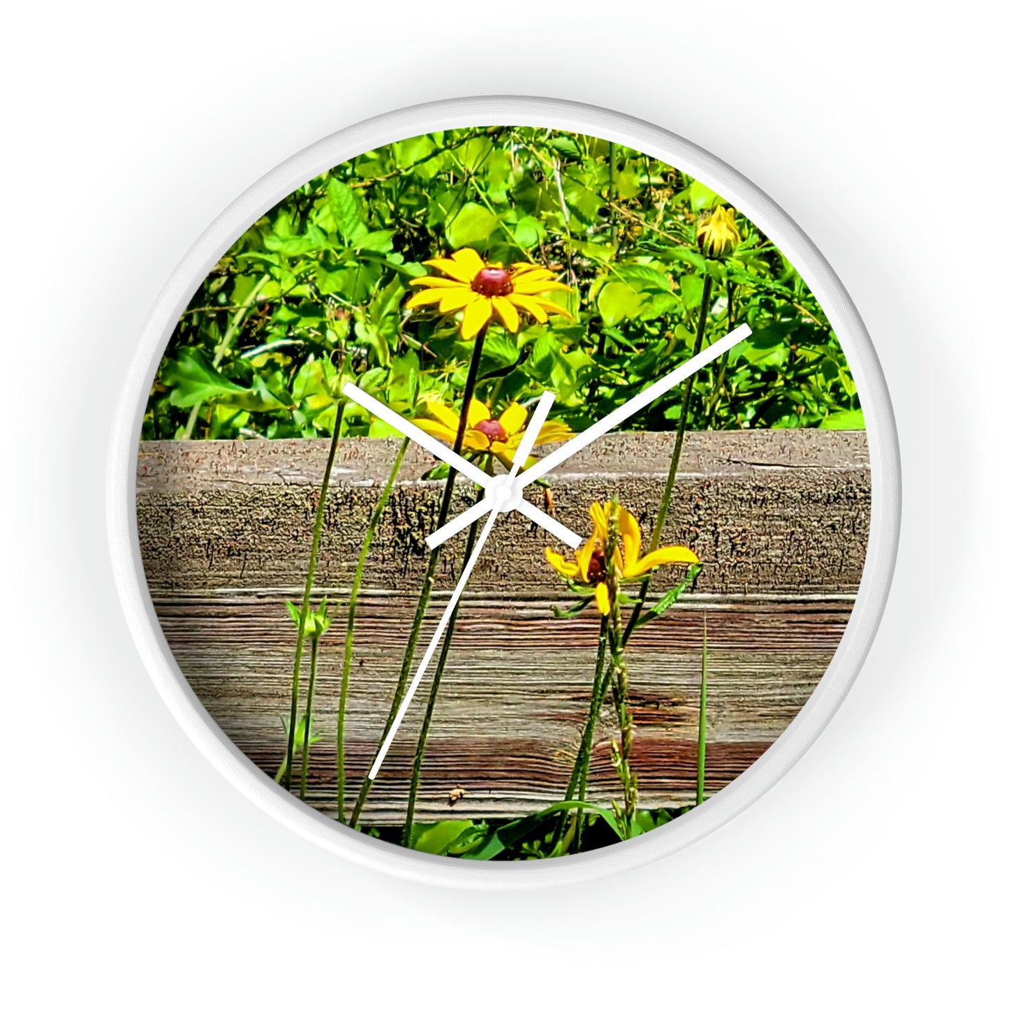 Kisatchie Wildflower Clocks