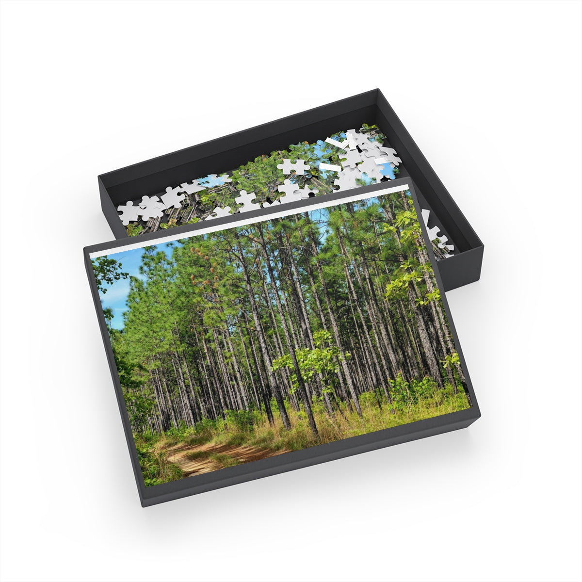 Kisatchie Pines Puzzle (4 Sizes)