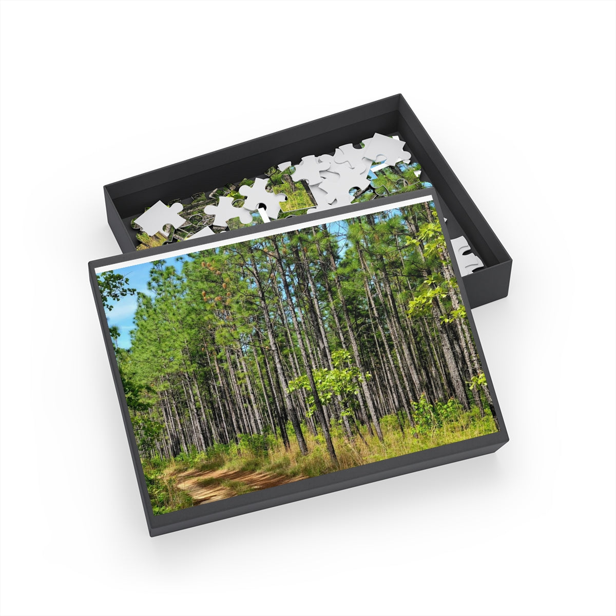 Kisatchie Pines Puzzle (4 Sizes)