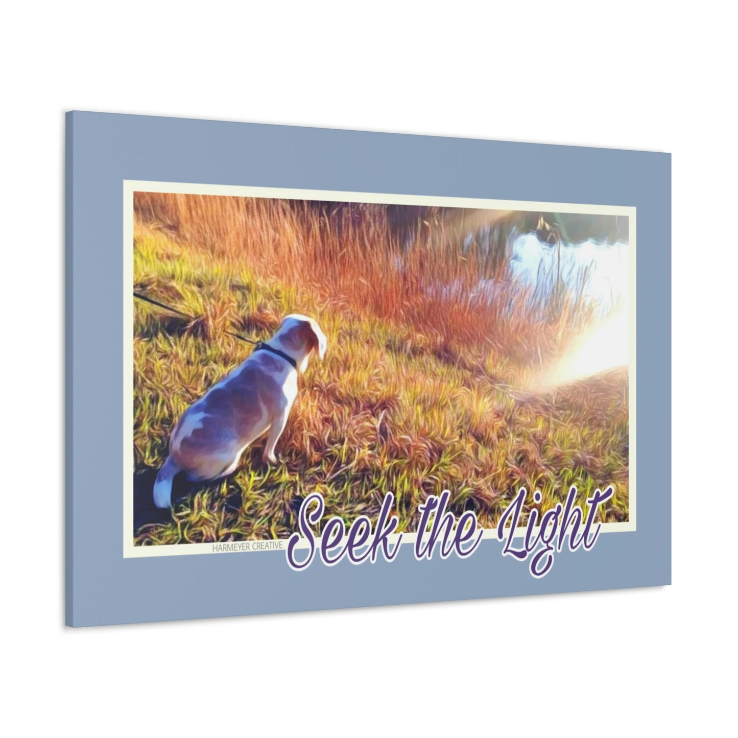 Good Dog "Seek the Light" Canvas Gallery Wraps