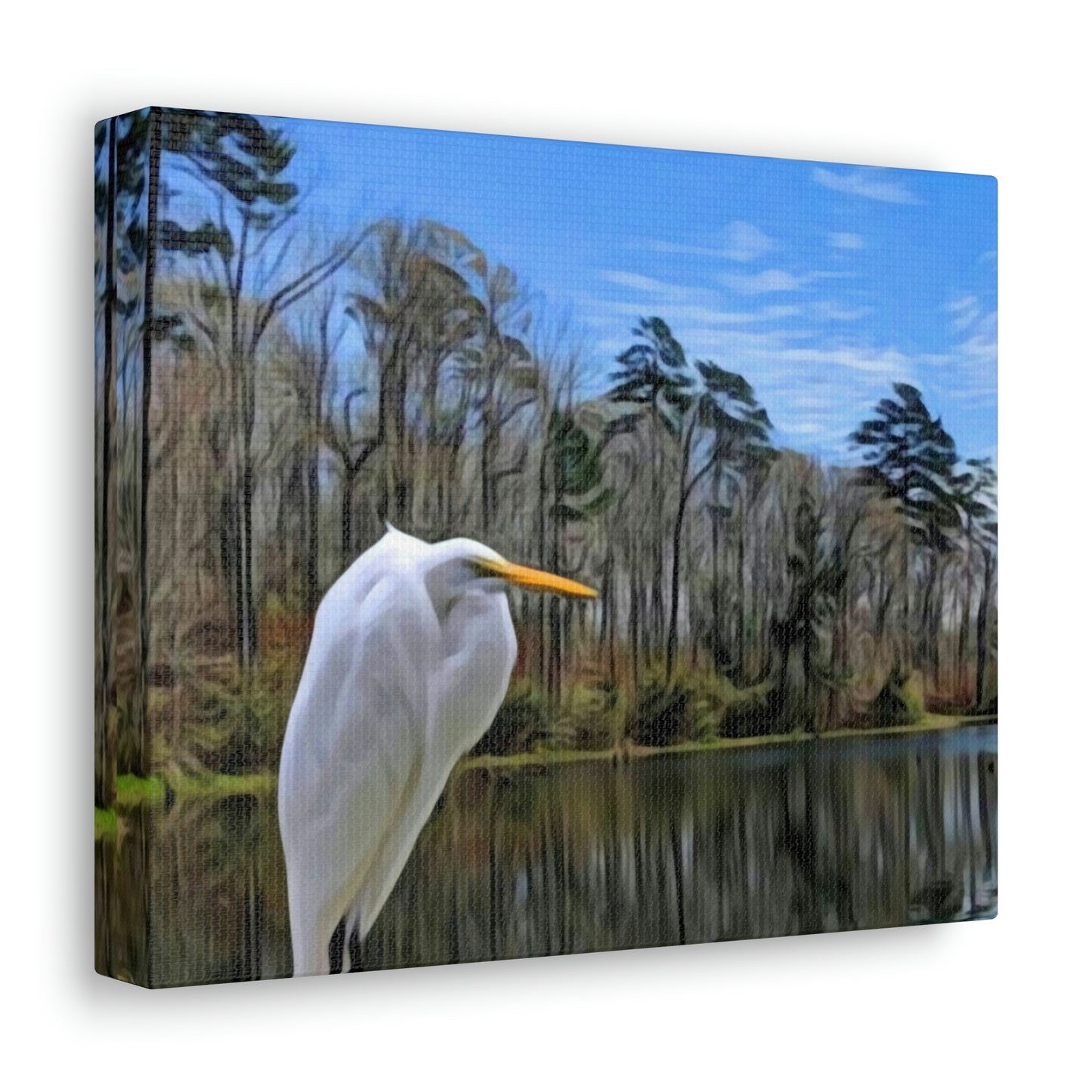 Egret at Valentine Lake Canvas Gallery Wraps