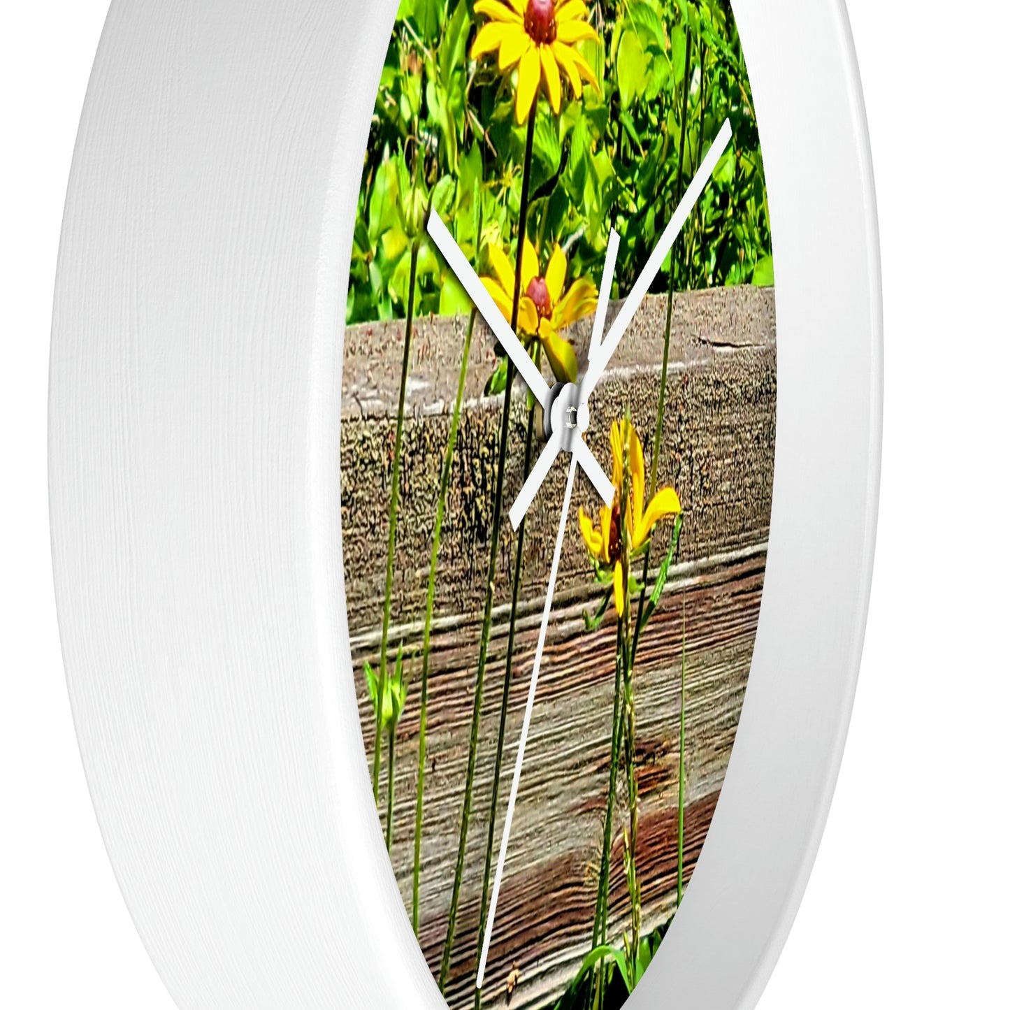 Kisatchie Wildflower Clocks