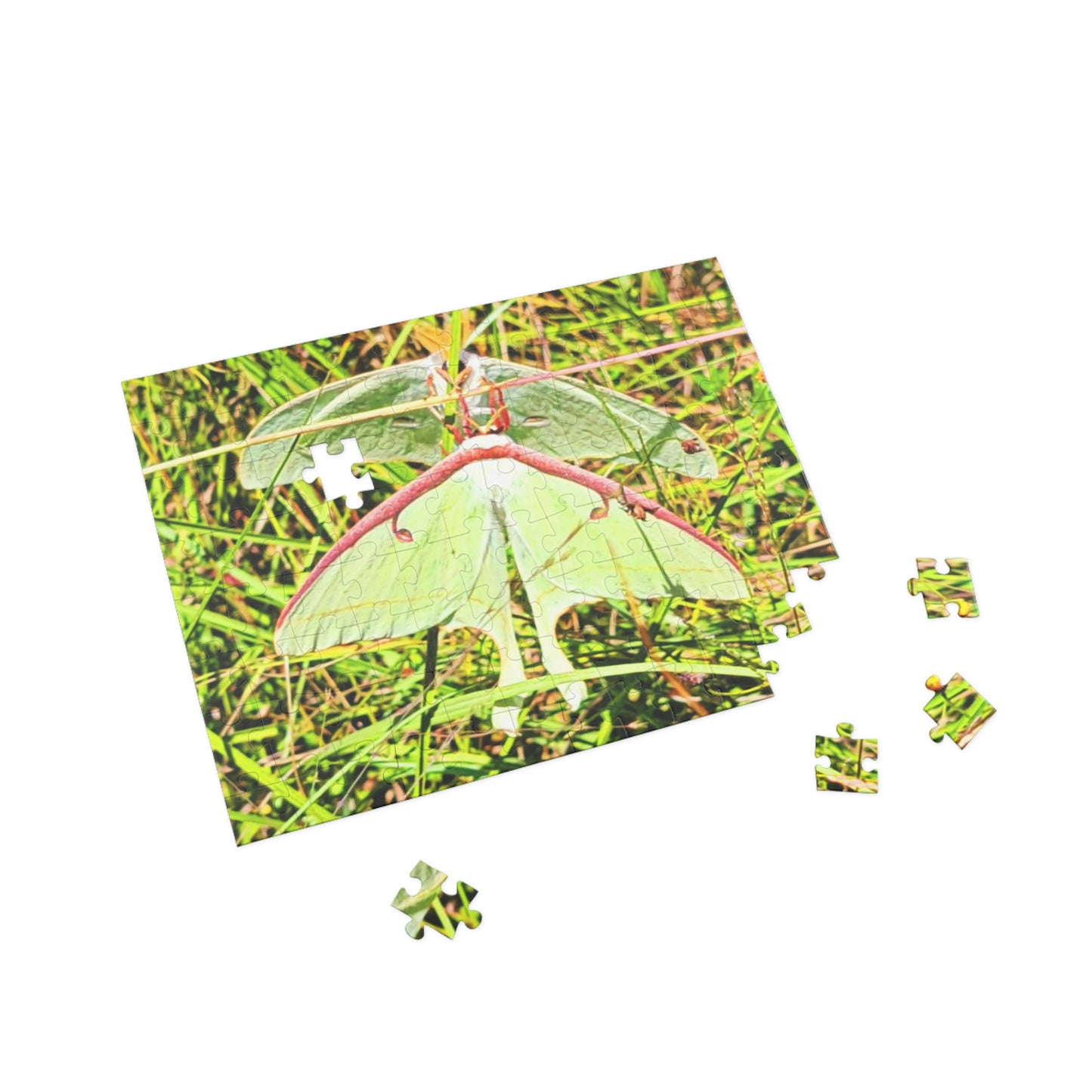 Luna Moths Puzzles