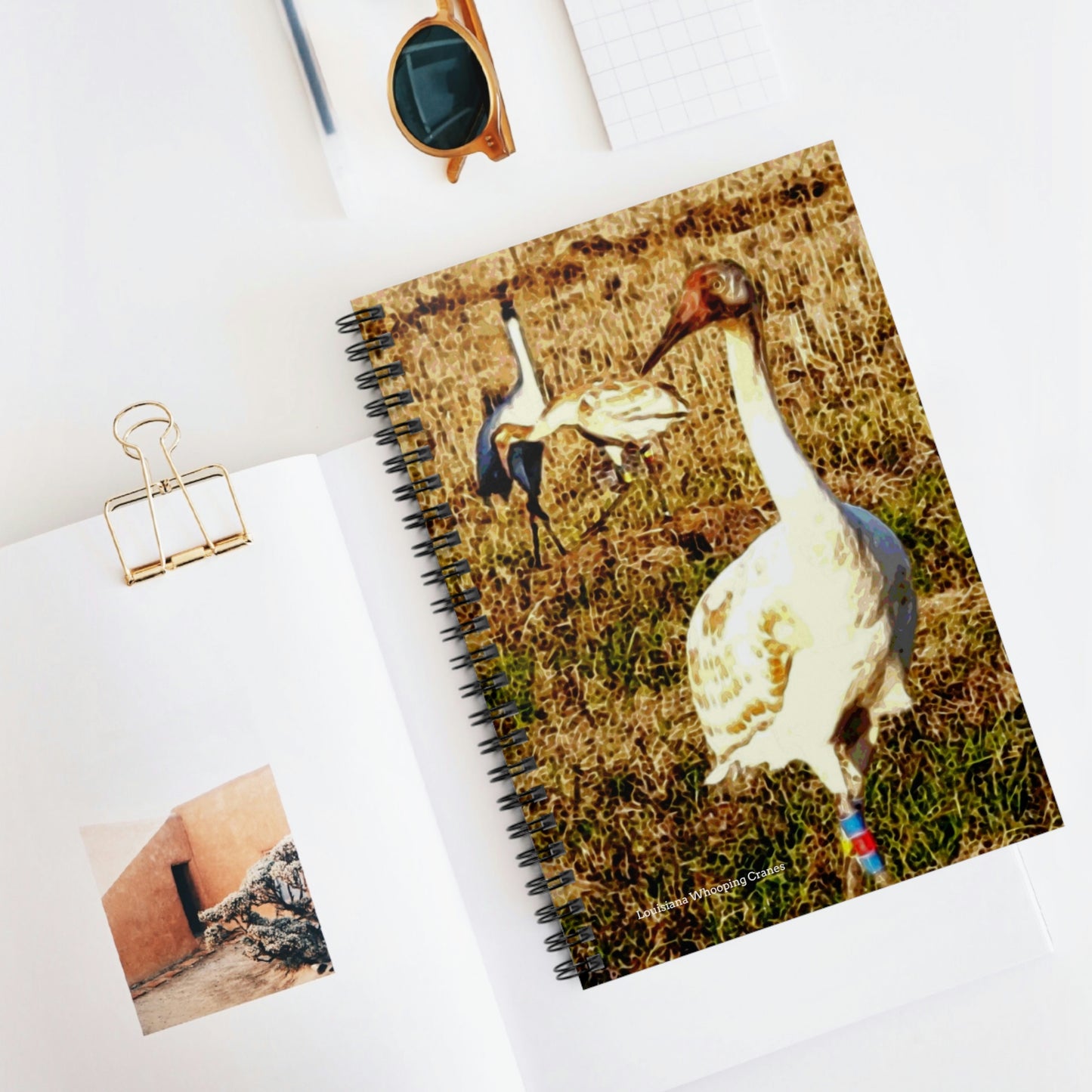 Louisiana Whooping Cranes Spiral Notebook