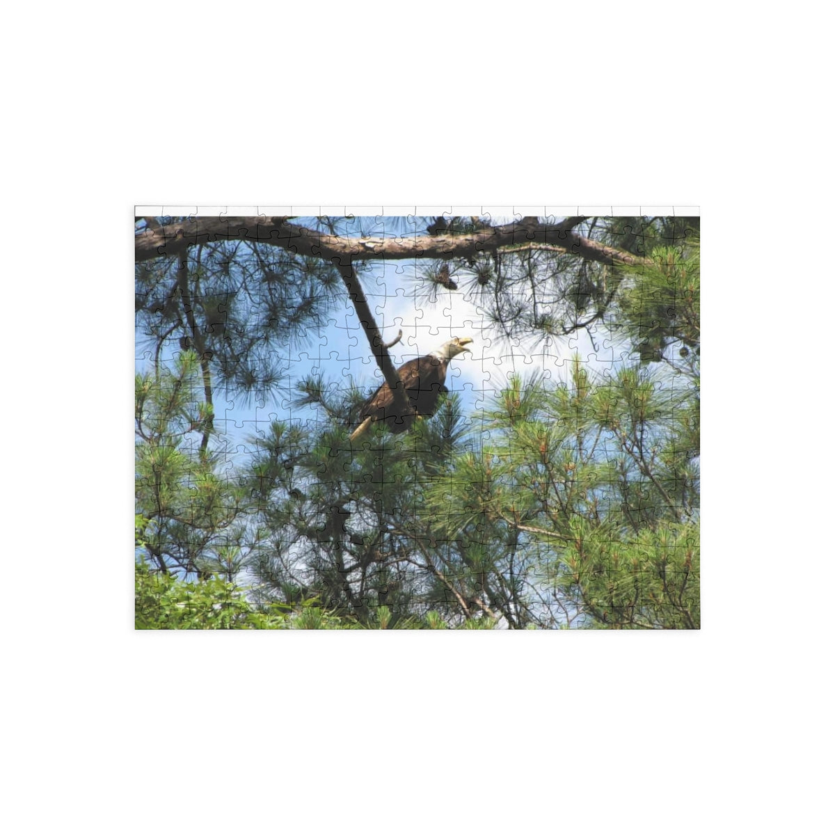 Kincaid Lake Eagle Puzzle (4 Sizes)