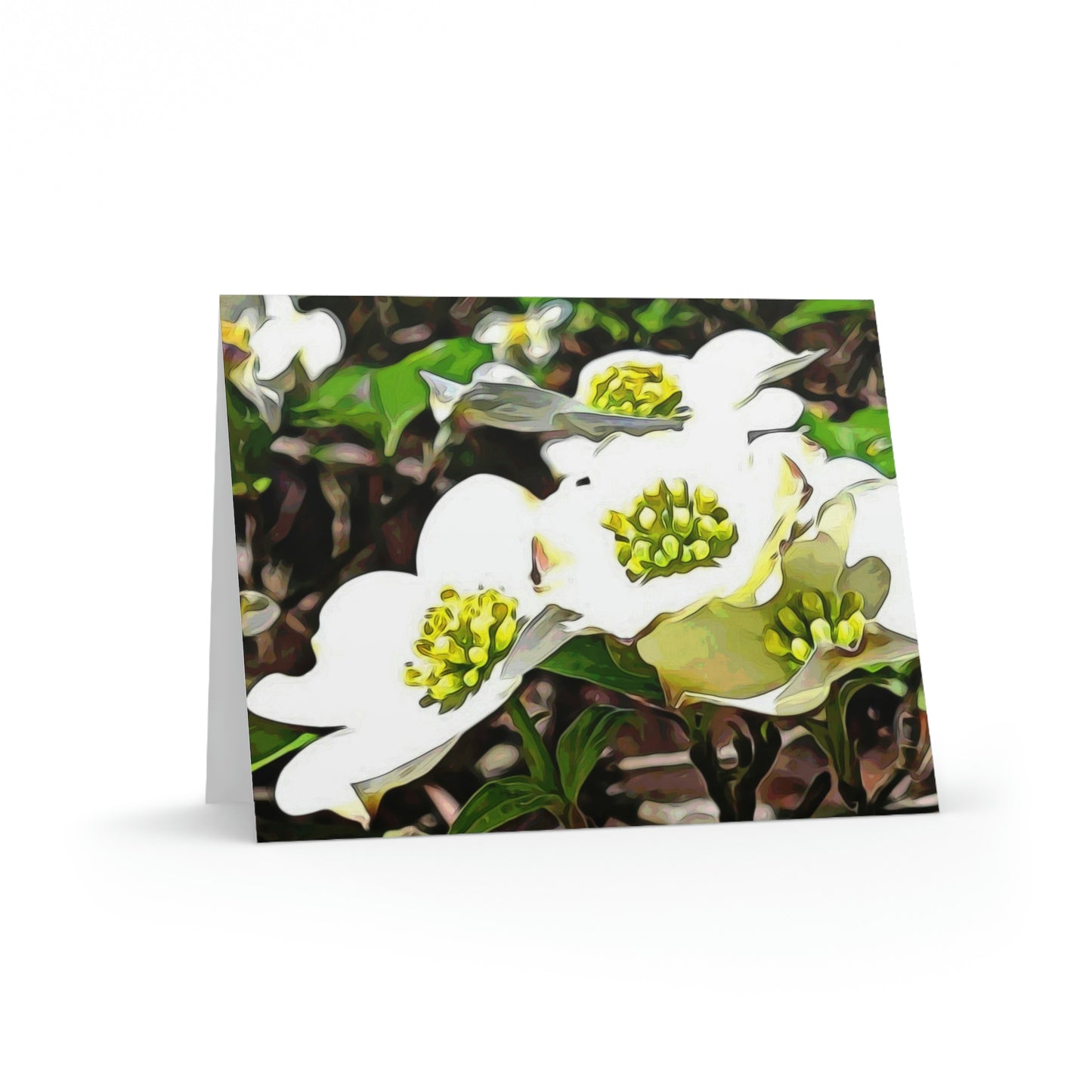 Kisatchie Dogwoods Notecards (8, 16, and 24 pcs)