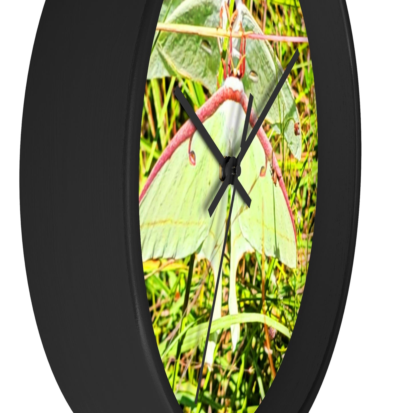 Luna Moths of Kisatchie Wall Clocks