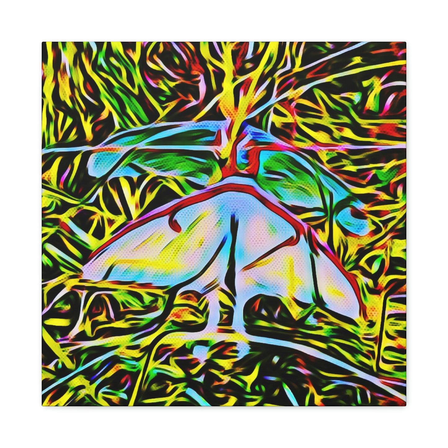 Luna Moths Canvas Gallery Wraps