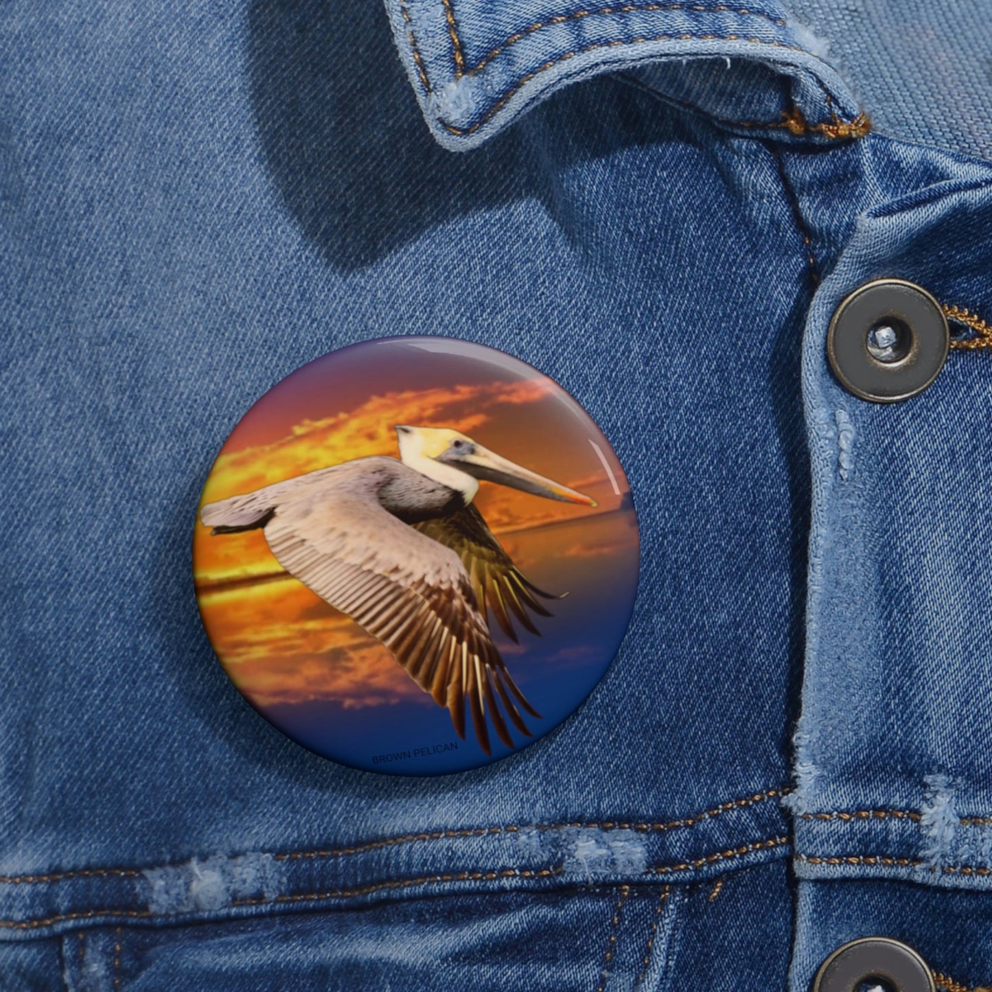 Louisiana Brown Pelican Buttons