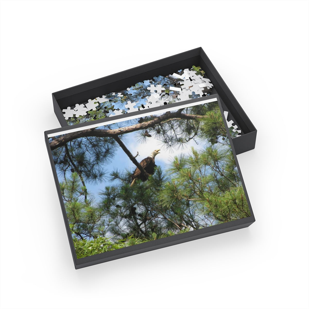 Kincaid Lake Eagle Puzzle (4 Sizes)