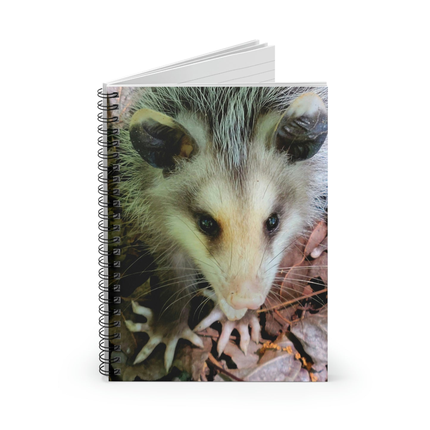 Opossum Spiral Notebook