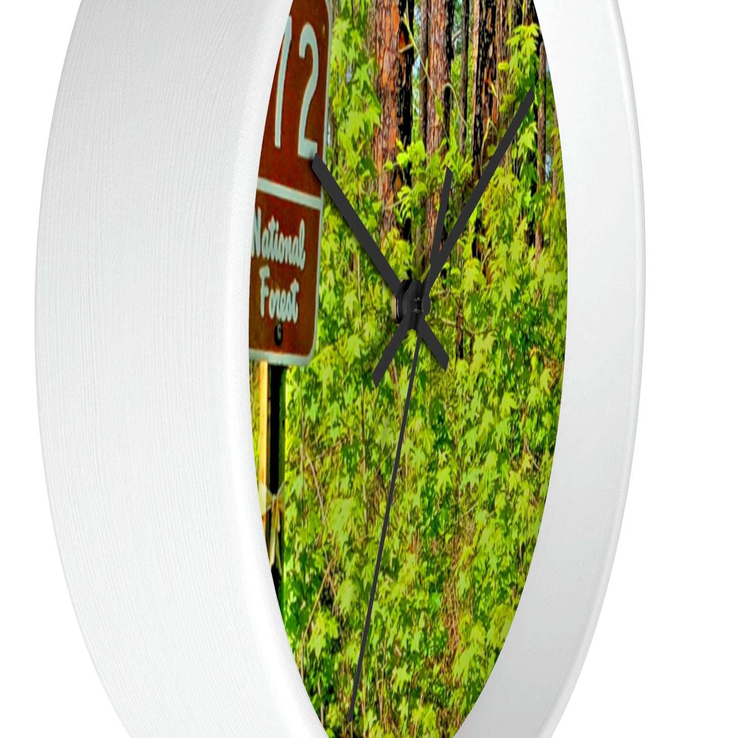 Kisatchie National Forest Wall Clocks