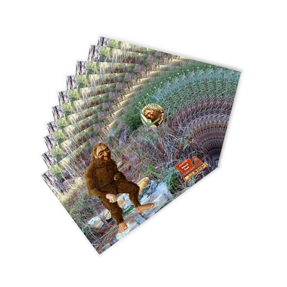 Kisatchie Bigfoot Postcards (10pcs)