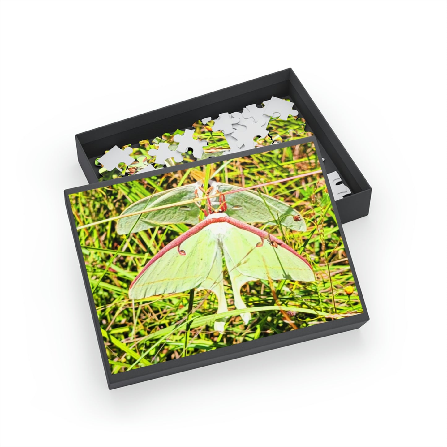 Luna Moths Puzzles