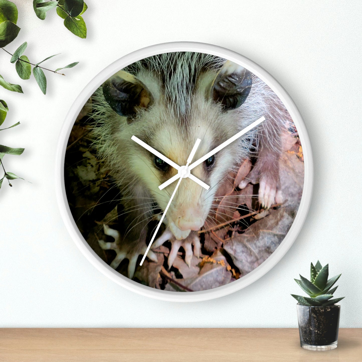 Kisatchie Opossum Wall Clocks