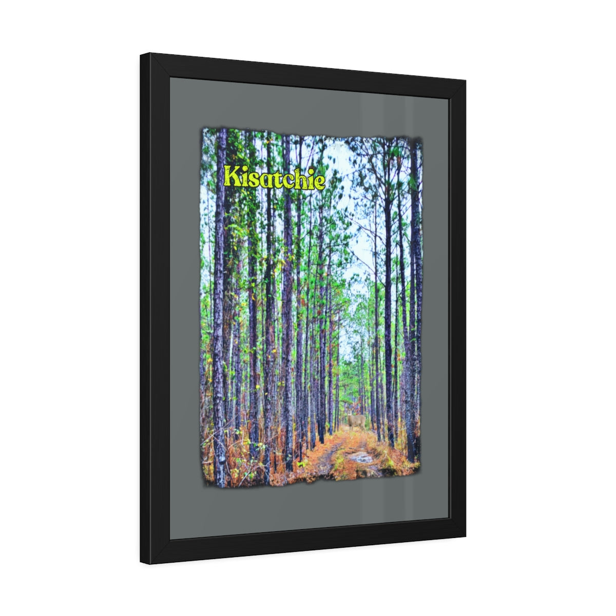 Framed Kisatchie Paper Posters