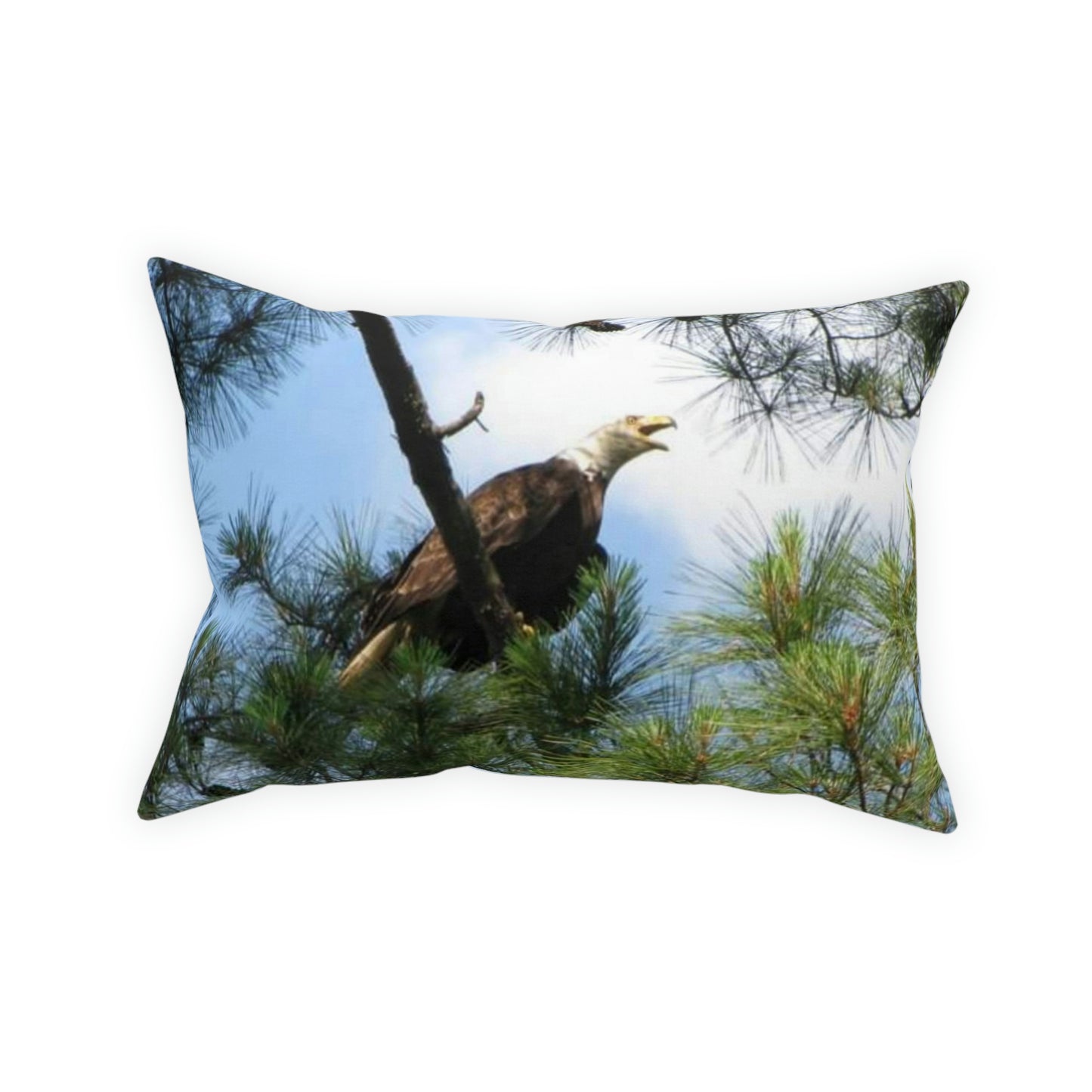 Kincaid Eagle Broadcloth Pillow