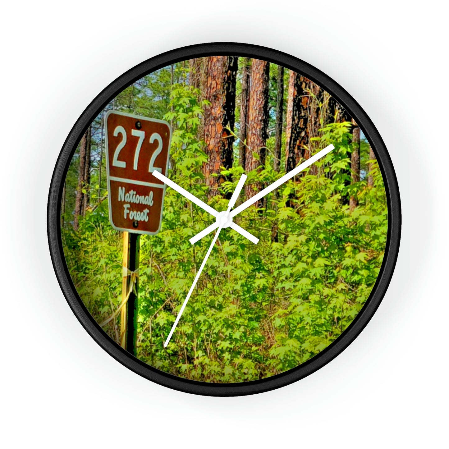 Kisatchie National Forest Wall Clocks