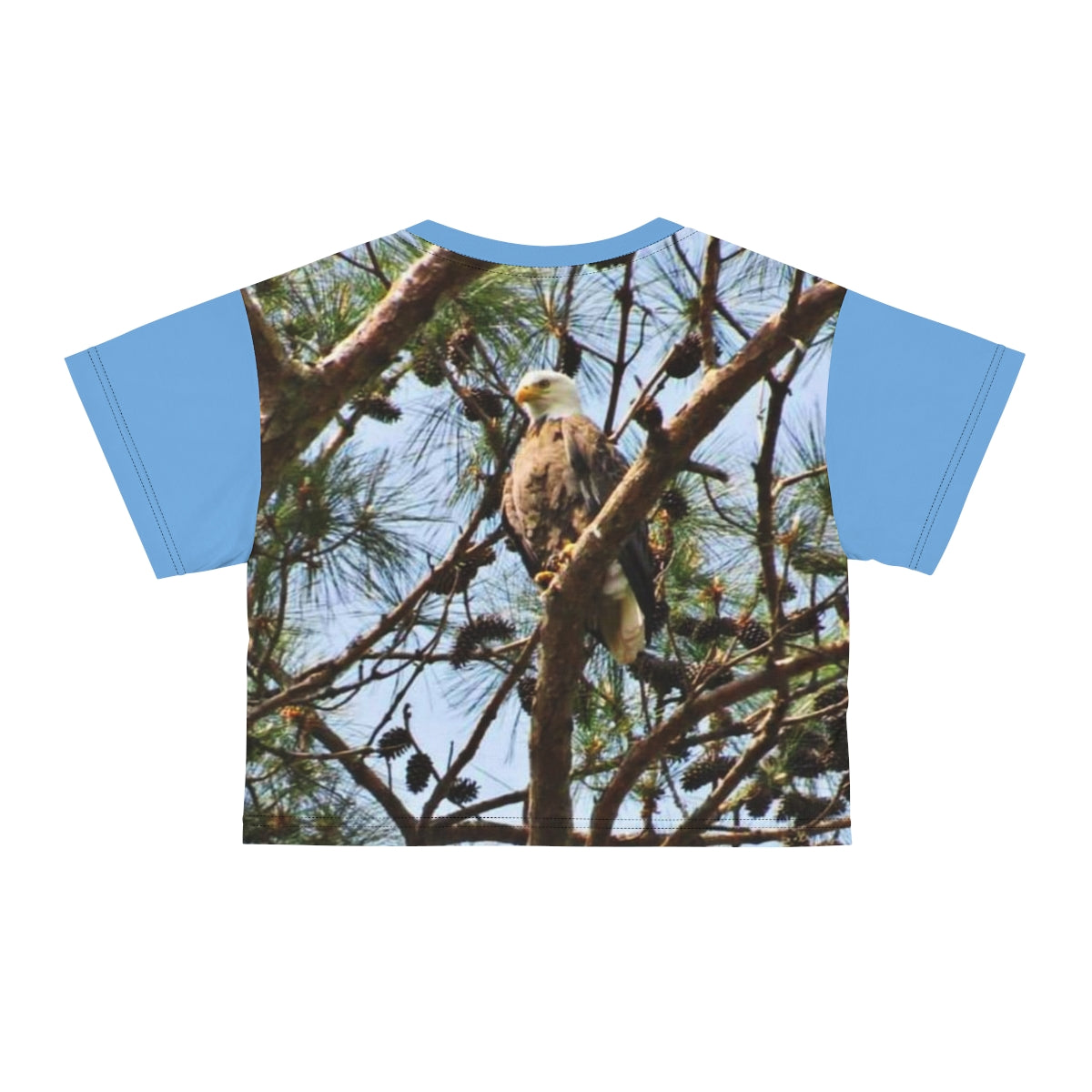 Kincaid Eagle Crop Tee