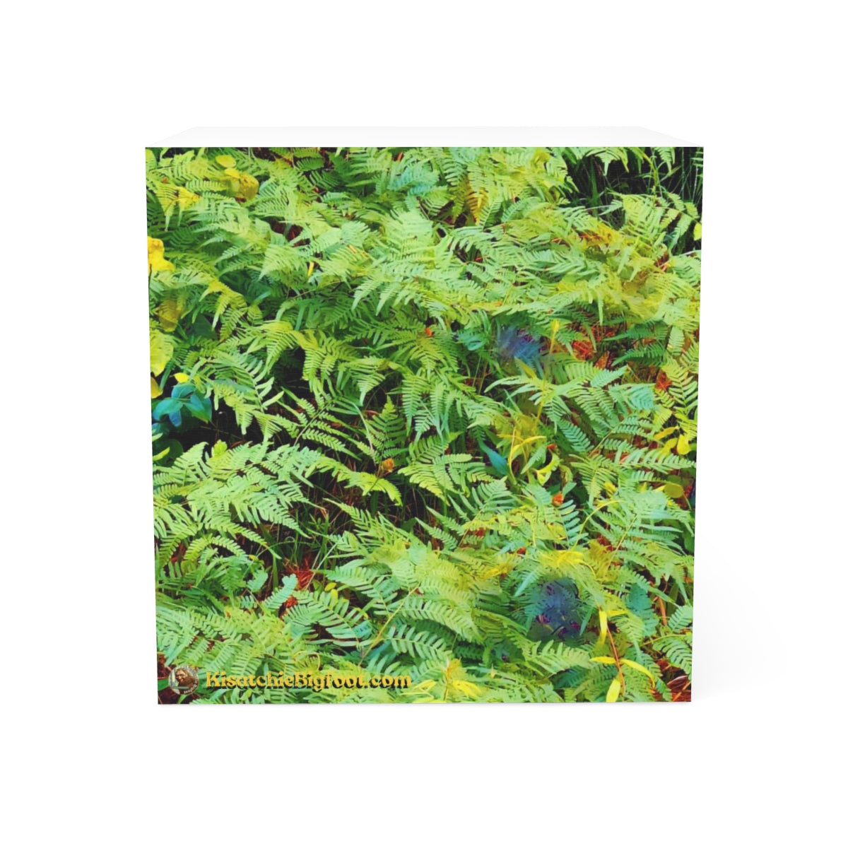 Kisatchie Fern Note Cube