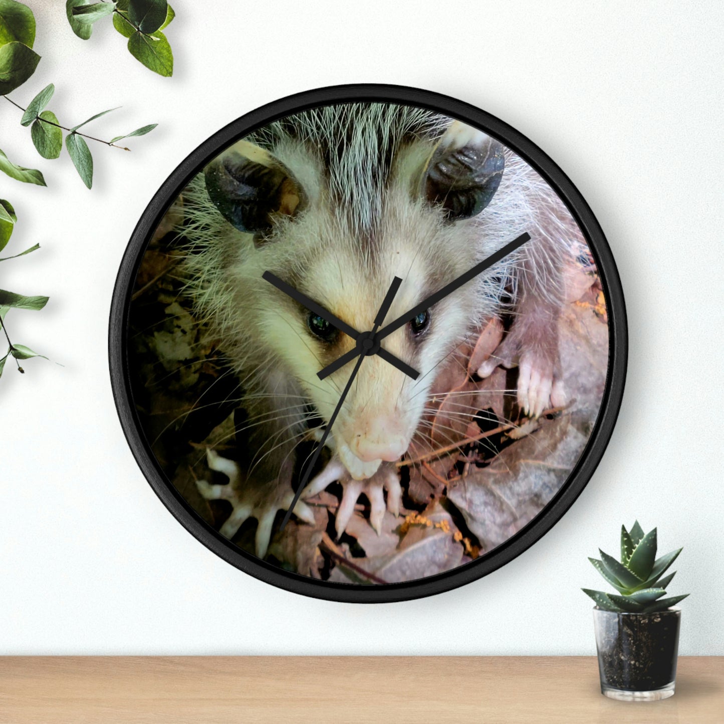 Kisatchie Opossum Wall Clocks